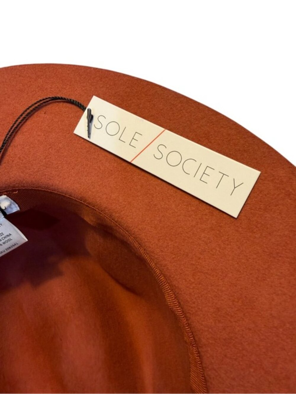 Sole Society 100% Wool Rancher Hat Terracotta Wide Brim Western Boho NWT - Picture 8 of 11